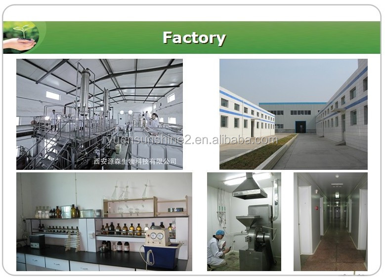 white kidney bean extract powder/organic white kidney bean extract