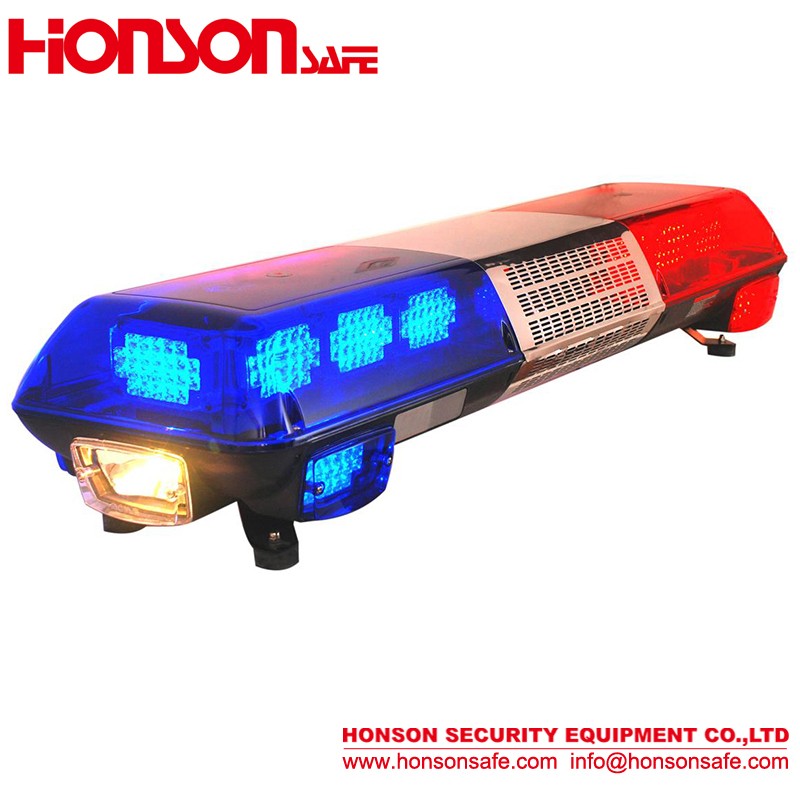 Staghorn Ferns, air plants, Platycerium species, article