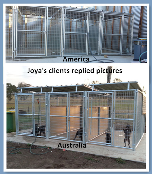 Dog kennels application.jpg