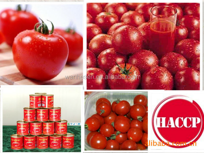 70G-4500G China Hot Sell Canned tomato paste,tomato sauce glass bottle