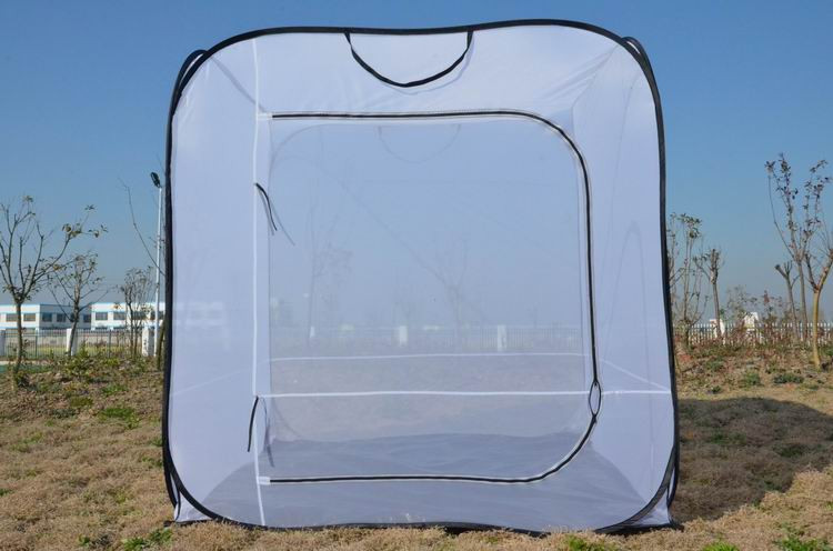 Walk In Insect And Large Butterfly Cage Habitat Succulent Mini