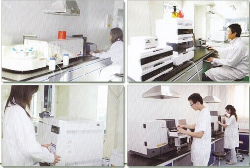 Pure Natural cocoa extract powder, cocoa beans extract, cocoa extract