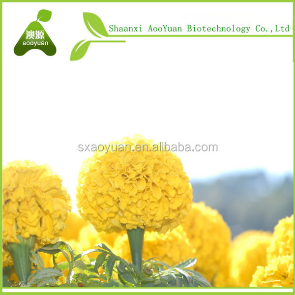 Marigold extract zeaxanthin 5% HPLC