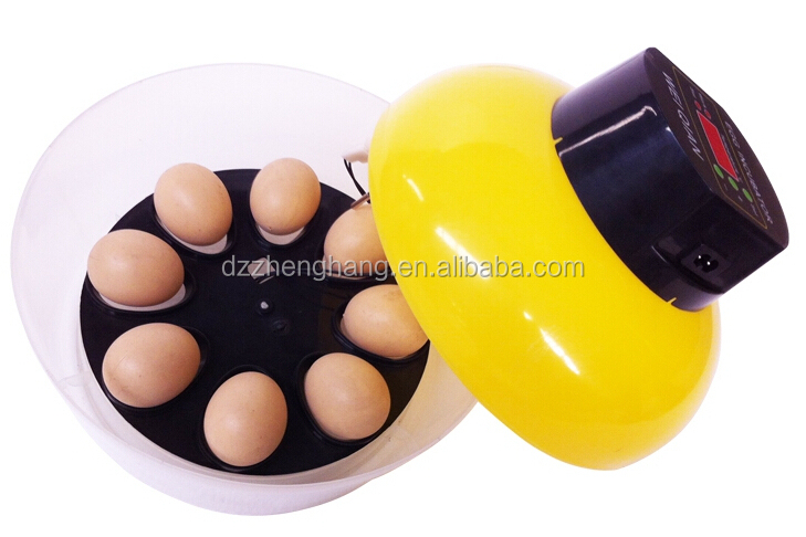 best egg incubator for turkeys