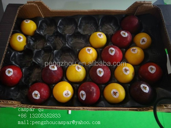 fruit and vegetable pp serving tray