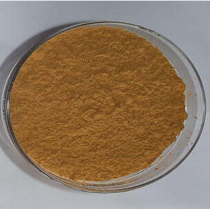Panax Notoginseng extract