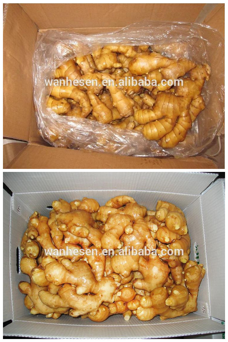 2014 High Quality New Crop Fresh Ginger For UK,CANADA,USA and EU Market