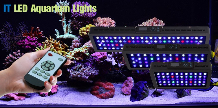 Lumière LED Pour Aquarium, Lumière Durable Pour Aquarium, Lumière LED De  Conservation Pour Aquarium 