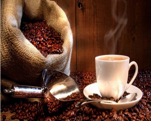 販売のためのコーヒー豆の焙煎・商業のコーヒー焙煎業者販売のための問屋・仕入れ・卸・卸売り