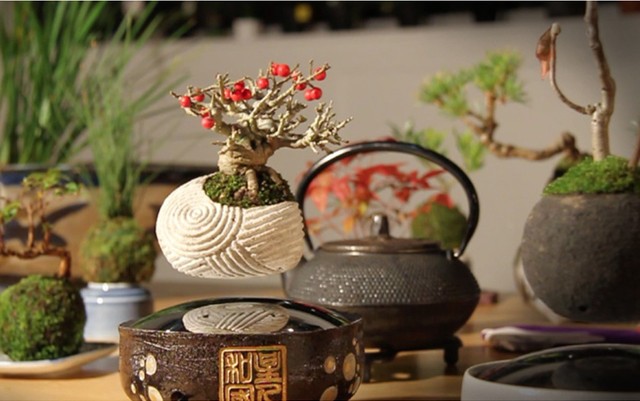 Bonsai floating magnetic pot plants (6).jpg