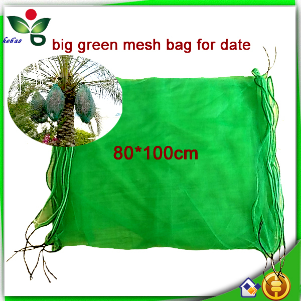 80100cm緑モノフィラメント日付の木ナツメヤシhdpeメッシュネット袋のための黒いひも日付でカバー問屋・仕入れ・卸・卸売り