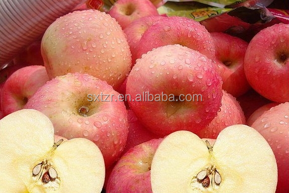 100% Nature dried apple powder/ apple juice powder