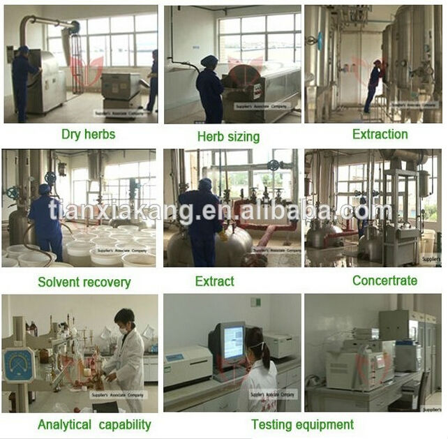 licorice root extract 98% Monoammonium Glycyrrhizinate/Licorice extract Glycyrrhizinate powder