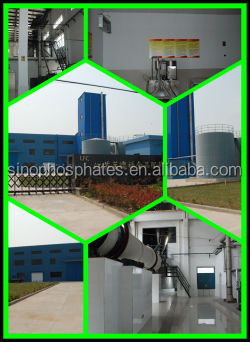 Foaming Creamer FC-1 China producer High and Stable coconut milk powder bulk
