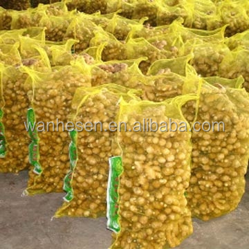 cheap price of fresh ginger in egypt