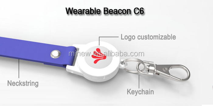 C6 web