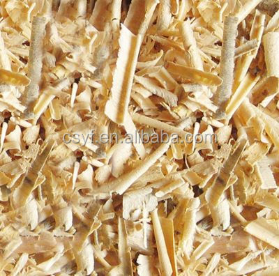 Tongkat Ali Extract