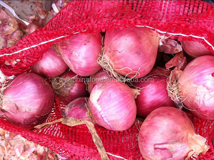Fresh Onion Red Onion Good Taste For Hot Sale