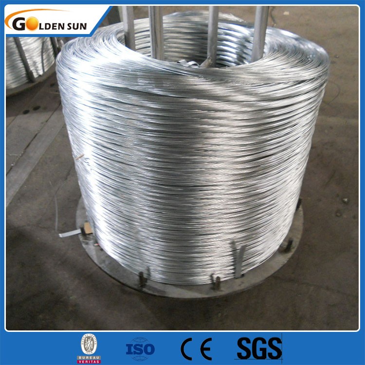 Galvanized Steel Wire (3).jpg