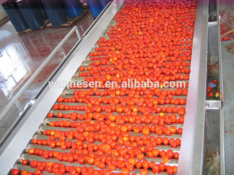 HALAL canned tomato ketchup raw material 2200g