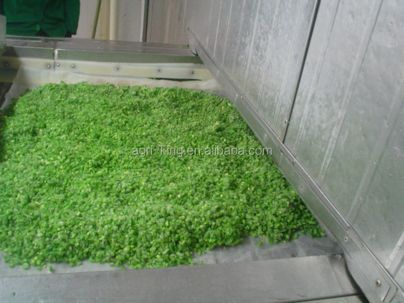 Agri-King iqf green beans