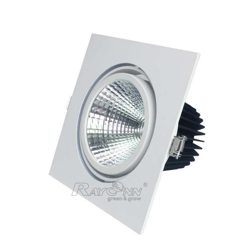 Energy Saving 20w 30w 40w Dimmable Cob Led Downlight 200mm Diameter ...