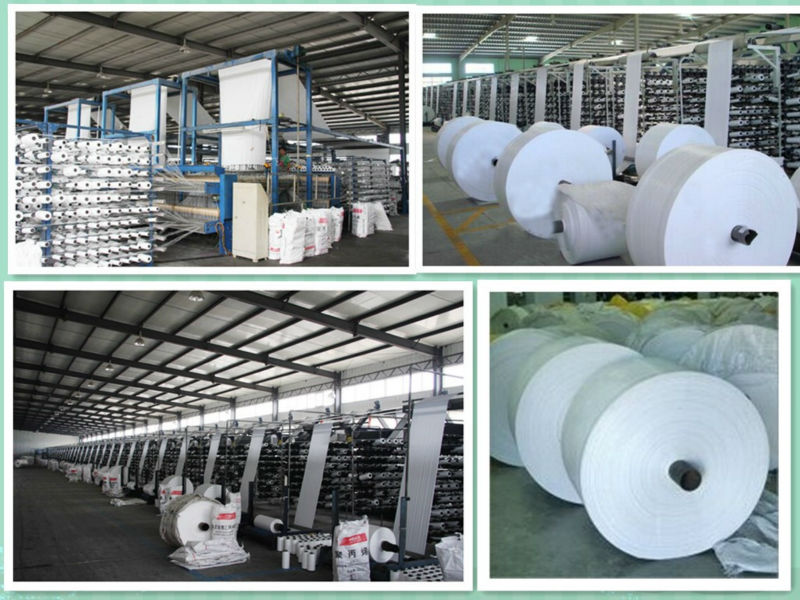 Hot Sale Pp Woven Corn Starch Bag