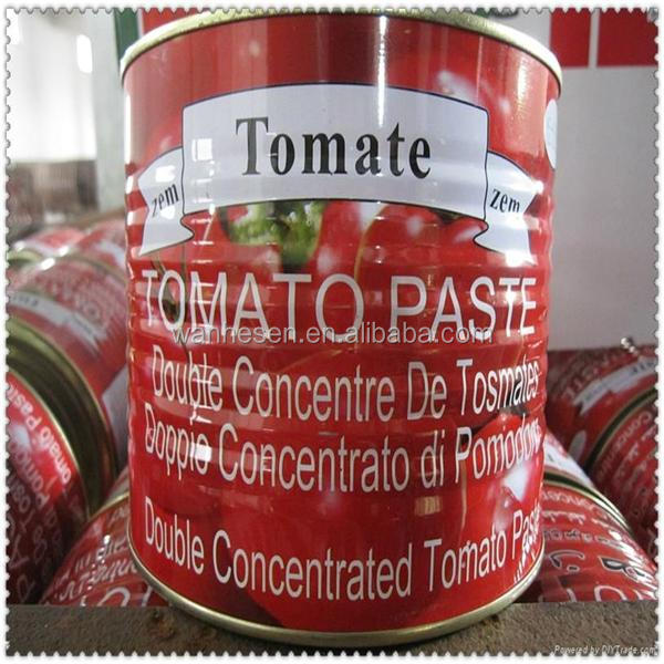 Factory sell tomato paste brands to Africa market