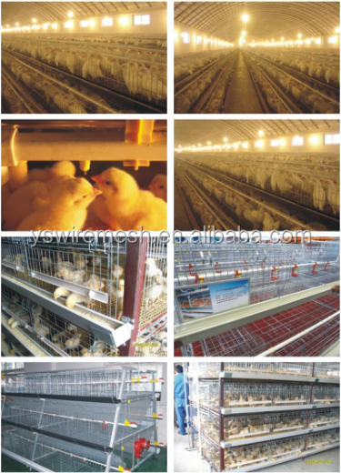 chicken coop wire netting/chicken wire meshapplication galvanized and ...