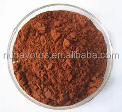 GMP and KoSHER Nutural Proanthocyanidins Grape Seed Extract