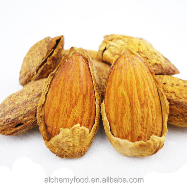 Almonds in dubai/ Chinese almonds for export / almonds in shell