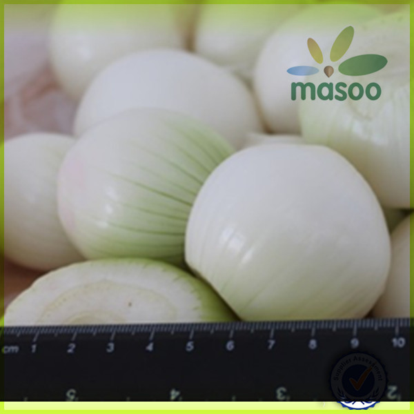 Export Fresh Yellow Onion