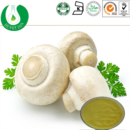 White Button Mushroom Extract Wild Agaricus Bisporus Extract Buy Wild