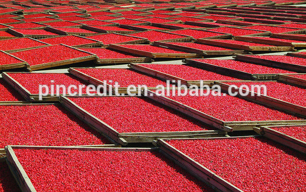 goji extract powder,goji extract,goji berry extract