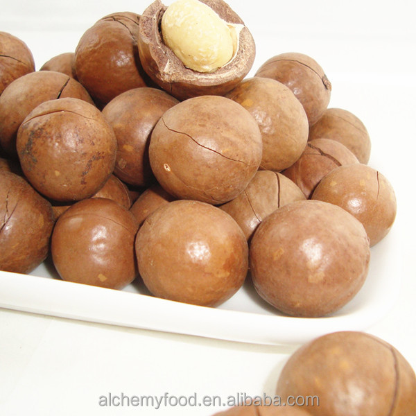 hot sale macadamia nut with ISO, HACCP, healthcare nutritious and tasty