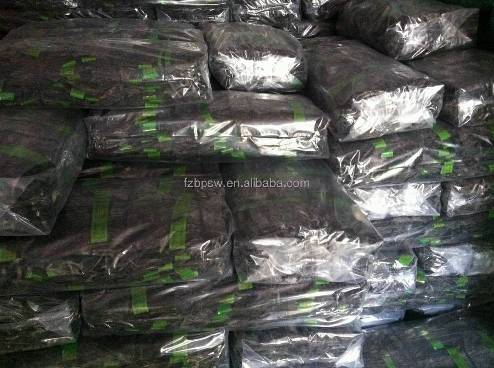 package-sea kelp.JPG