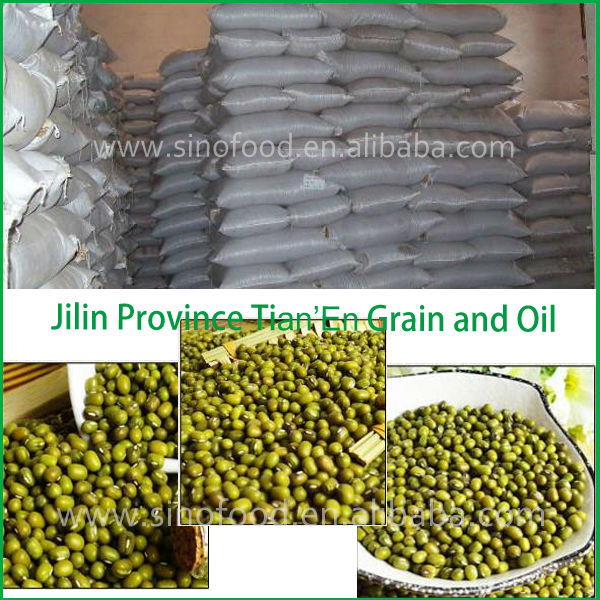 Chinese price for green mung beans with high quality