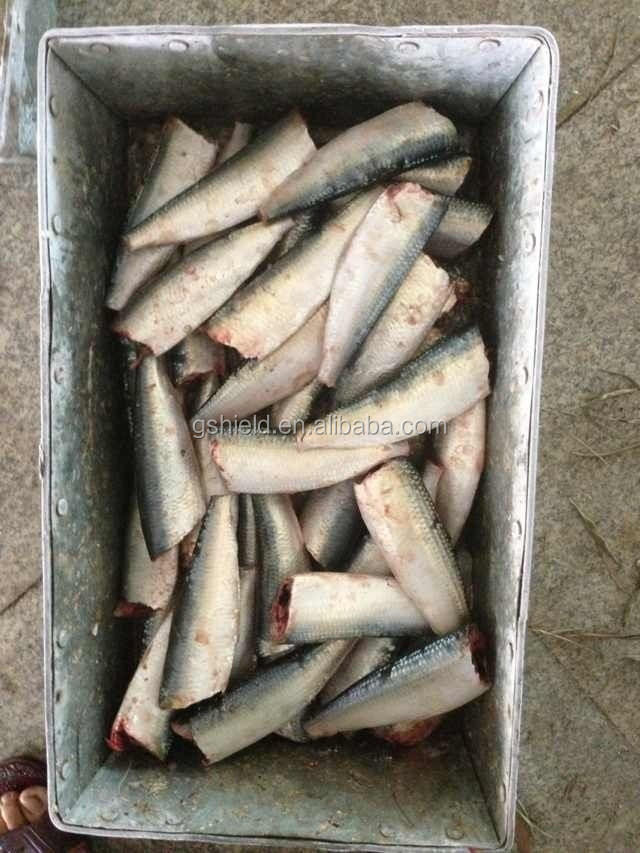 Frozen sardine HGT for canning