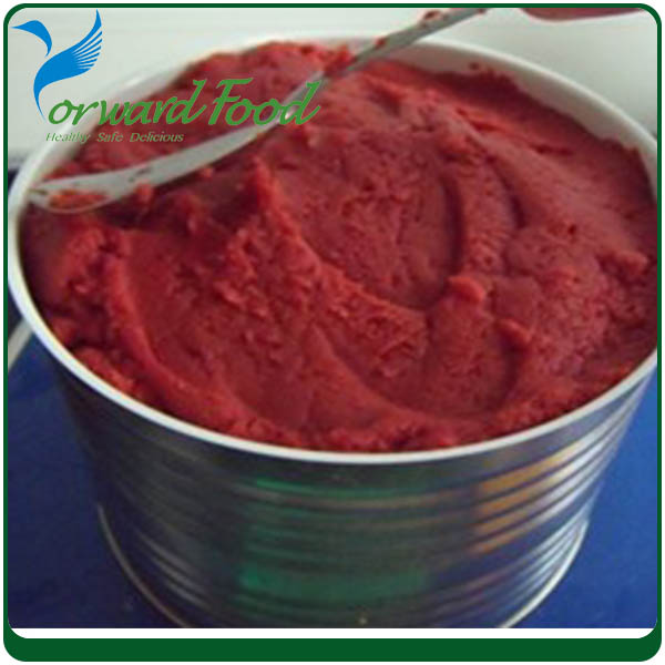 can food tin tomato paste