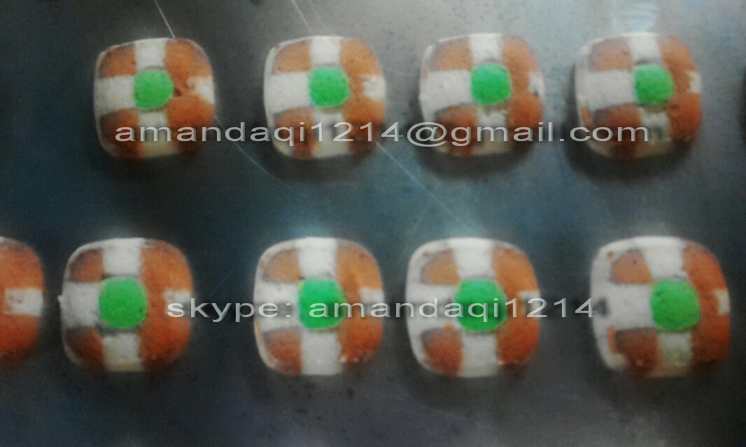 double color cookies forming and wire cutting machine