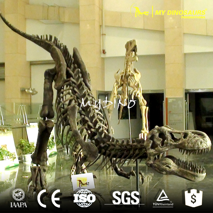 fossil and skeleton.jpg