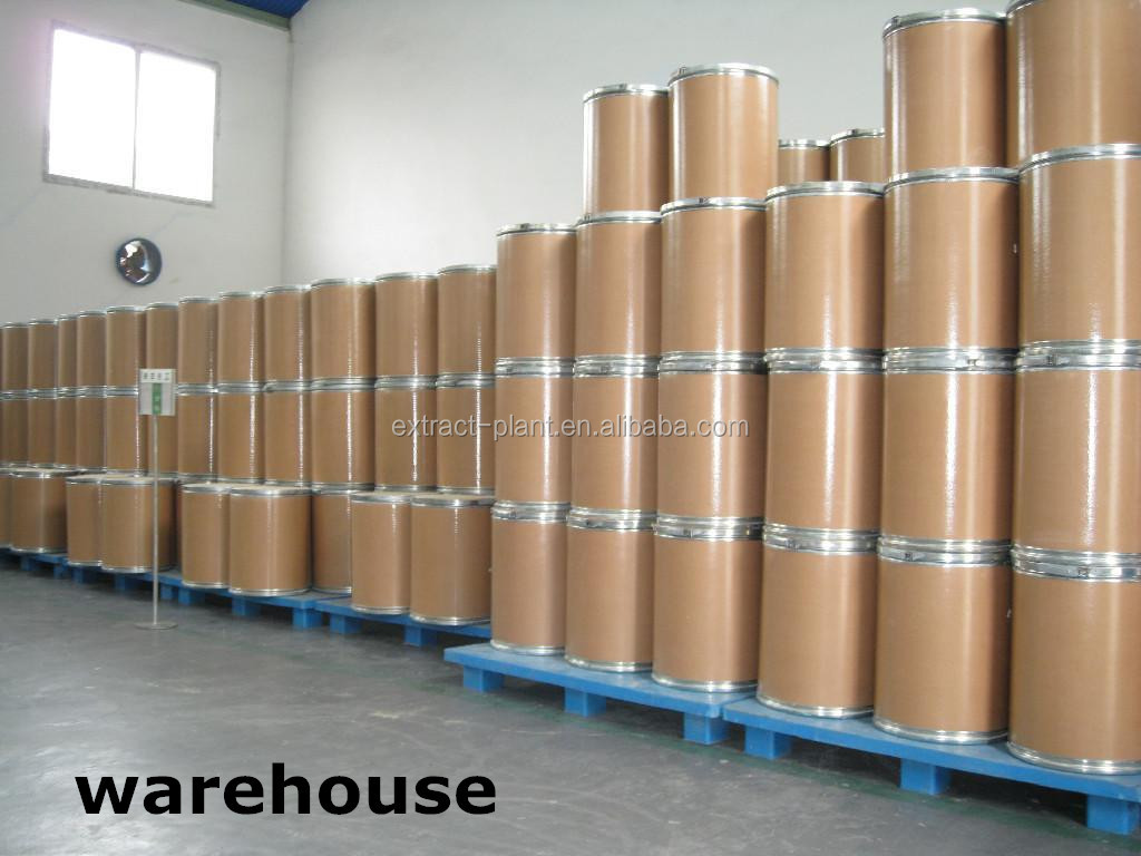 Free Samples Sweet tea extract 20%-80% Rubbusoside