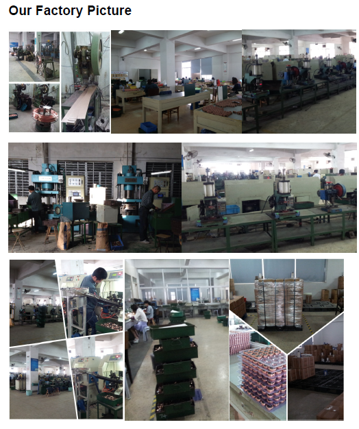 FACTORY PICTURE.png