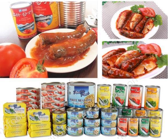 canned Sardines in tomato sauce/EO