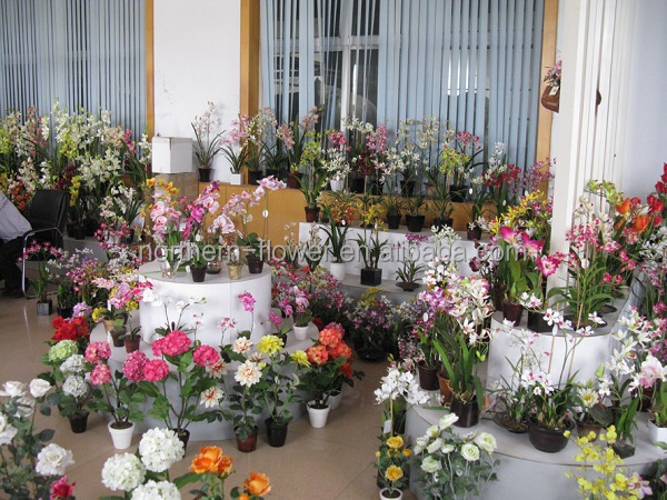 showroom3