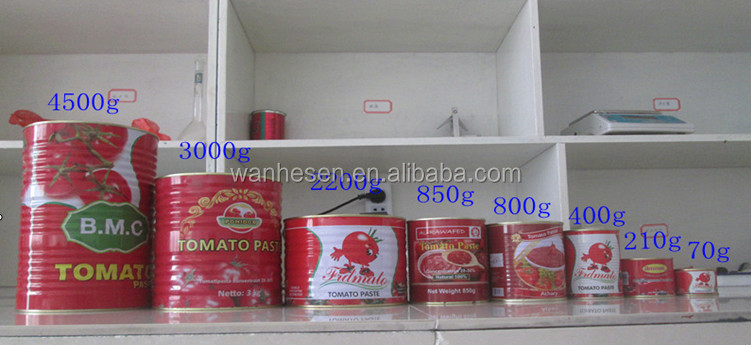 asptic Canned Tomato Paste price ton supplier, tomato sauce