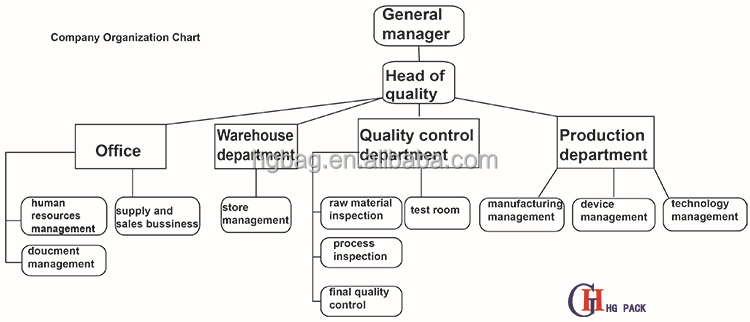 company structure.jpg