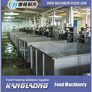 1000kg/h meat vacuum freeze dryer with competitive price