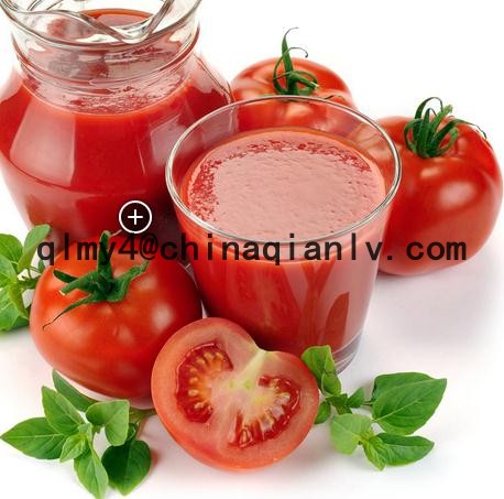 tomato paste making machine