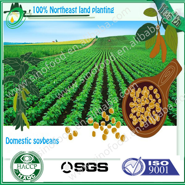 soya bean oil machine